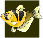 Series (tropical) fish