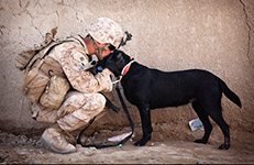 Soldat und sein Hund