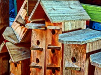 Unpainted Wooden Birdhouses