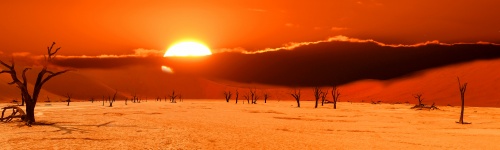 Do sol do deserto