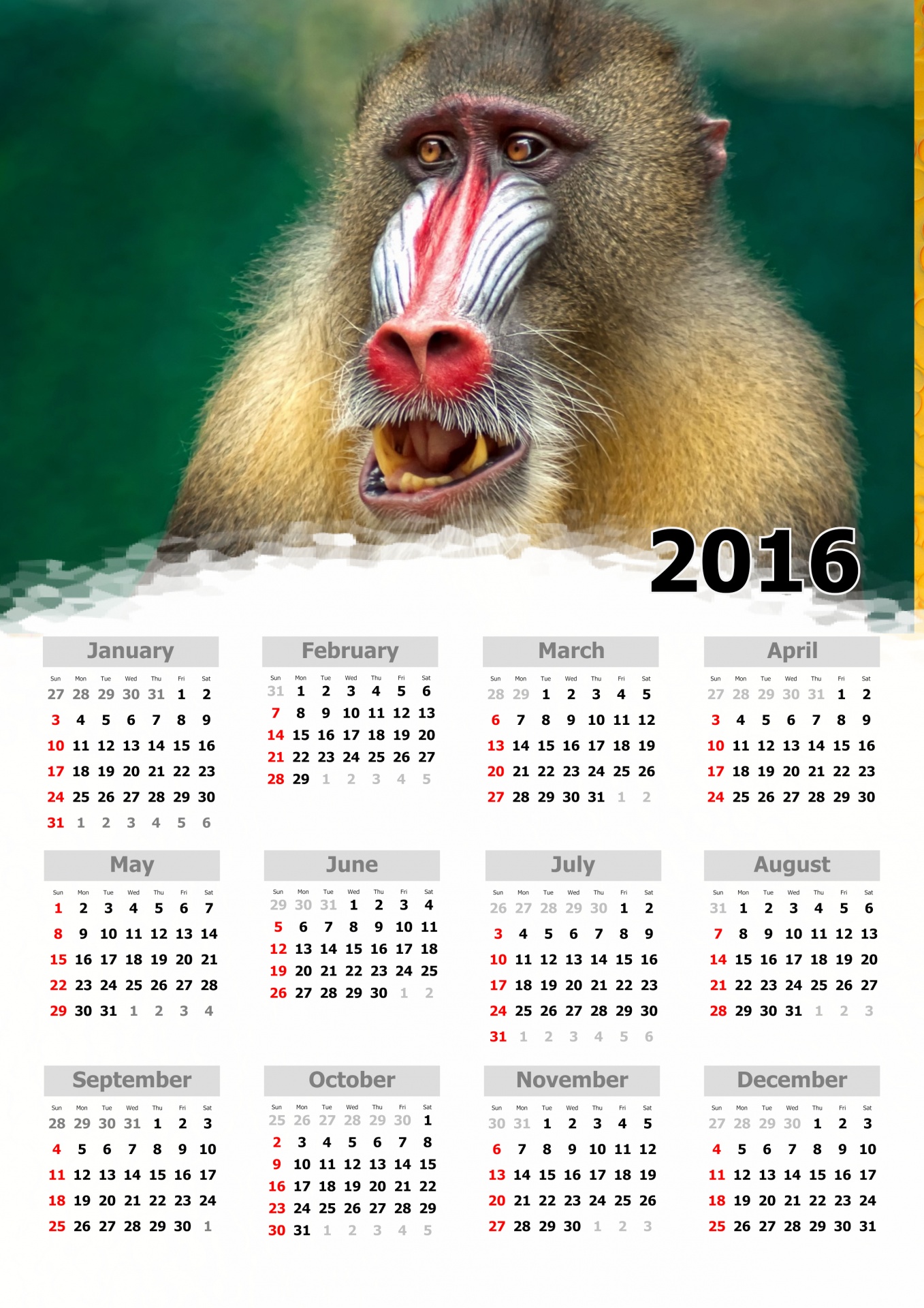 2016-annual-calendar-ii-free-stock-photo-public-domain-pictures