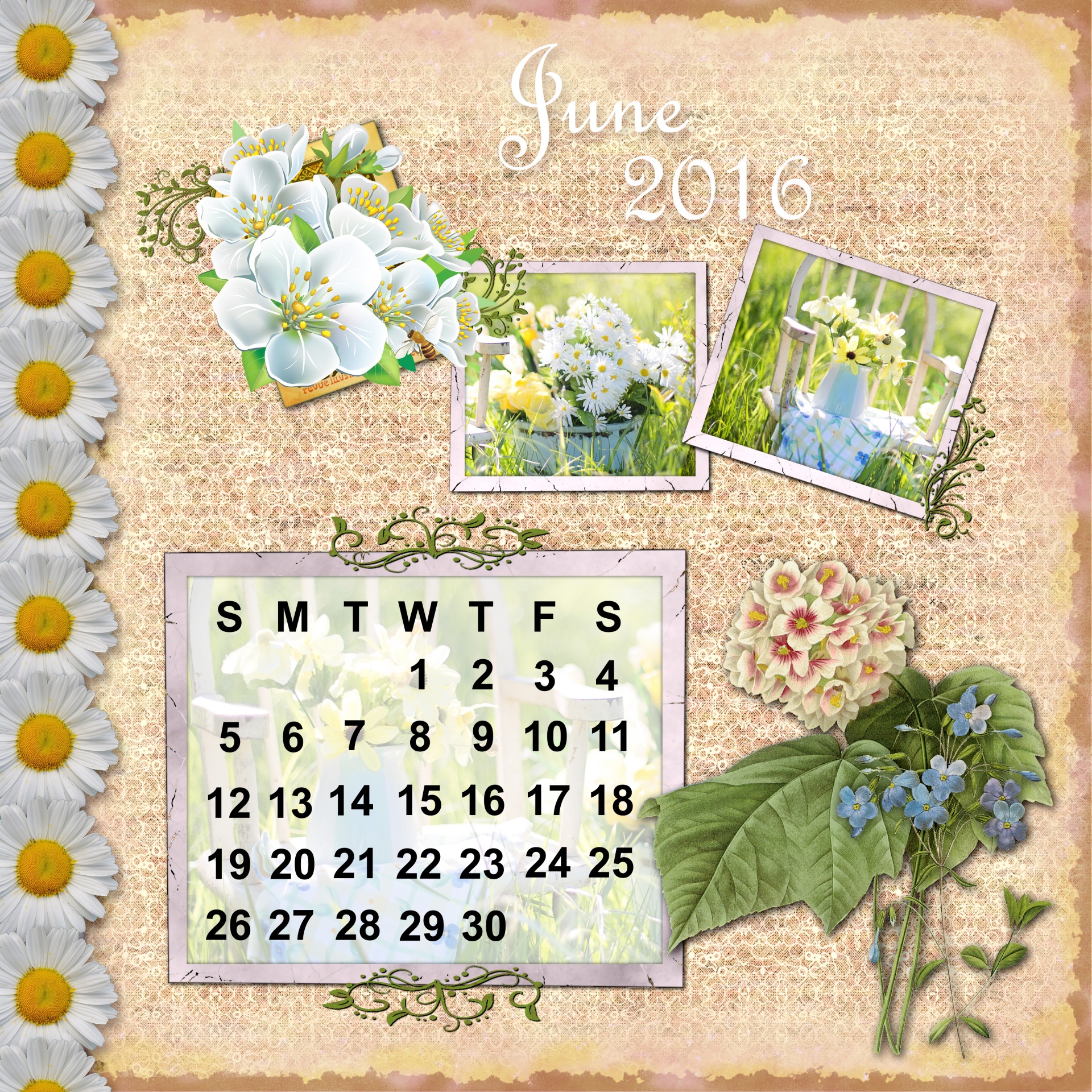 2016 Calendar June Free Stock Photo Public Domain Pictures