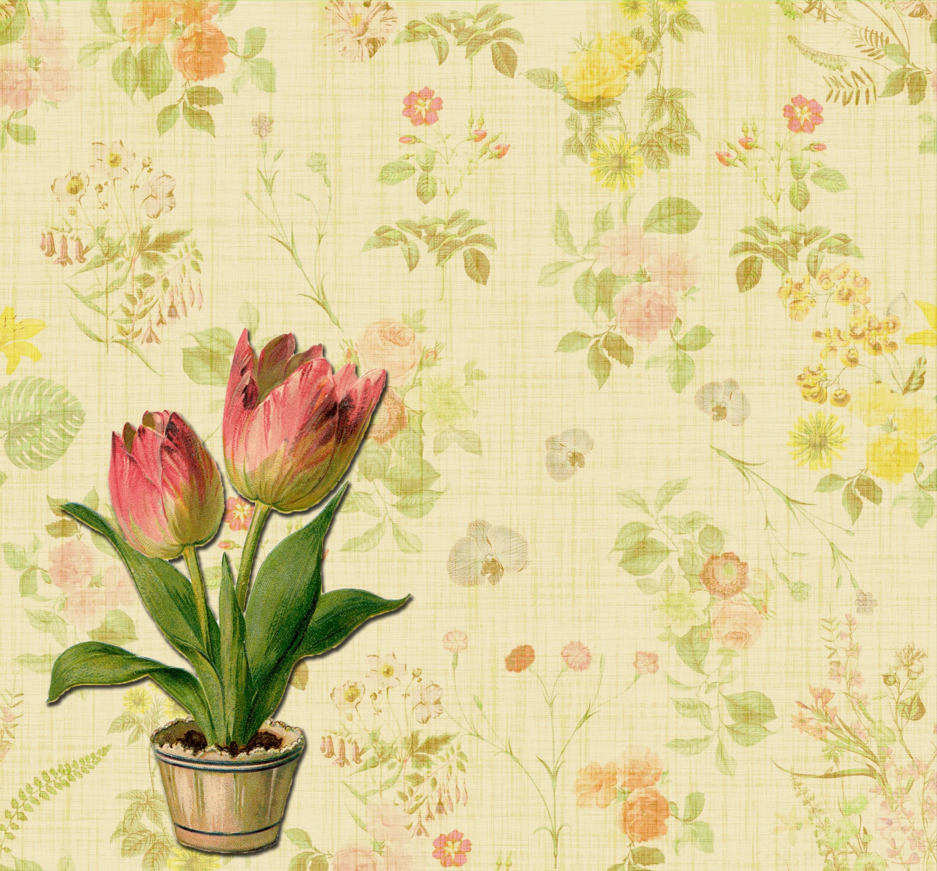 花柄の壁紙チューリップの背景 無料画像 Public Domain Pictures