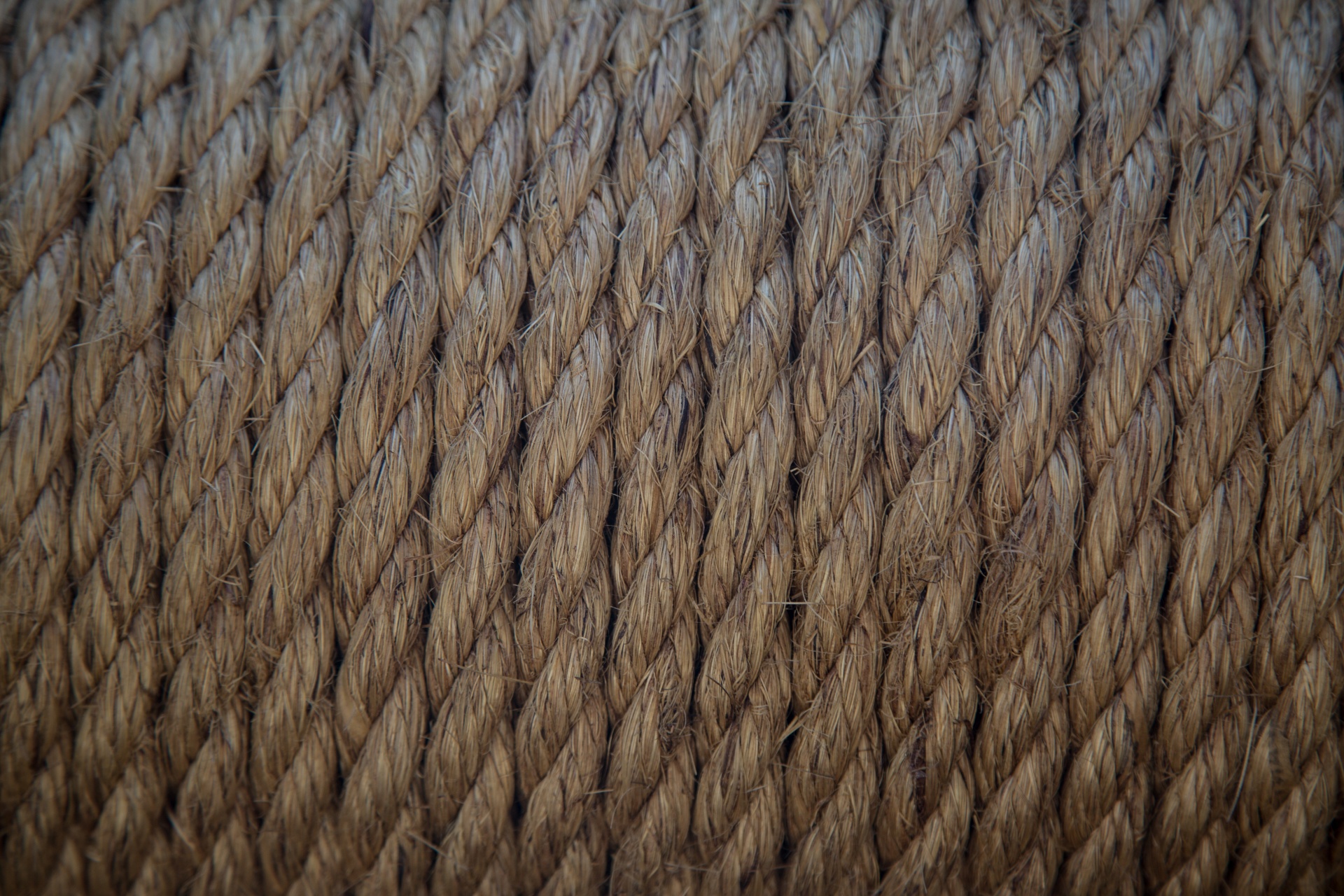 rope looking dining room charis