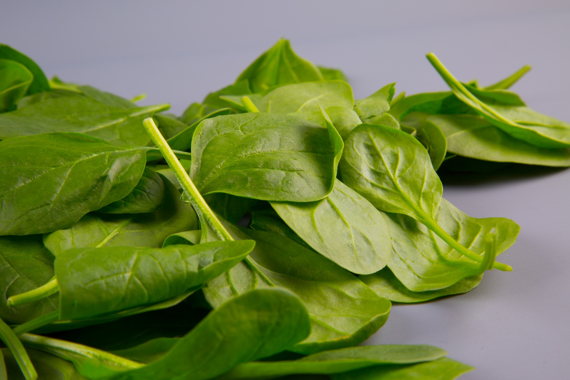 Spinach Leaves Free Stock Photo - Public Domain Pictures