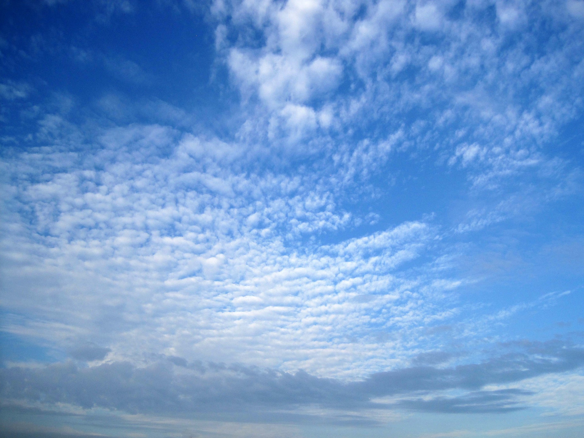 Widespread Cloud Free Stock Photo Public Domain Pictures