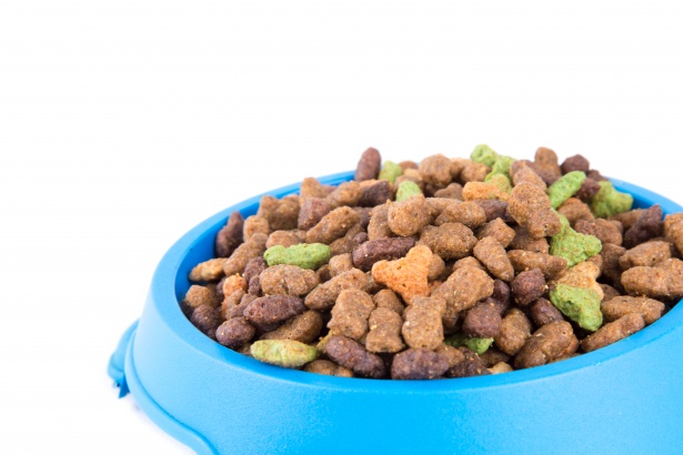 The State of the Cat Food Market