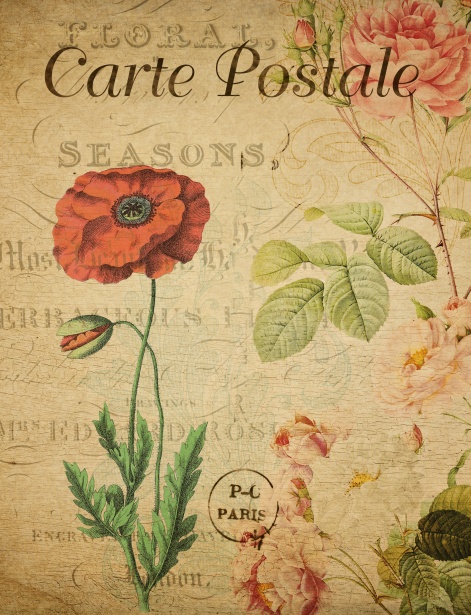 Vintage Postkarte Rote Mohnblumen Blumen Kostenloses Stock Bild Public Domain Pictures