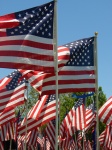 Bandeiras americanas no Memorial Day