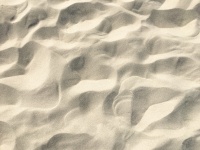 ビーチの砂の背景