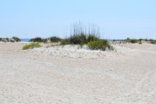 Beach písečné duny