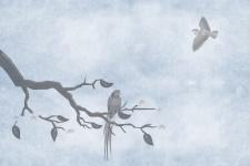 Uccello sul ramo Illustrazione