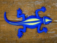 Blauw salamander