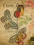 Postal del vintage de las mariposas