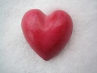 Coeur de sucrerie dans la neige