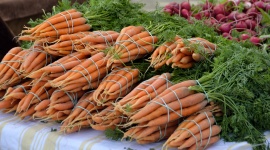 Carrots for Sale