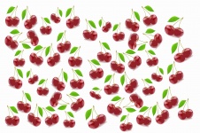 Cherry Illustration