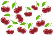 Cherry Illustration