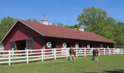 Clydesdale Cavalli e granaio