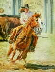 Cowgirl Rodeo Pictura