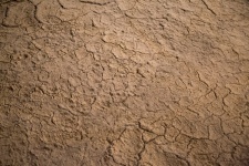 Sprucken torkad lera