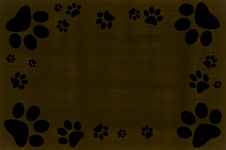 Dog Footprint quadro