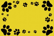 Cadre Dog Footprint