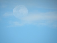 Full Moon i dagsljus