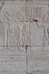 Hieroglife