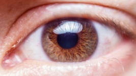 Occhio umano Close Up