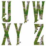 Ivy fonty UZ