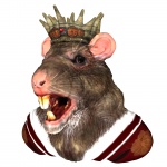 Rege șobolan