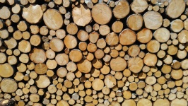 Funiile de lemn Franky (1)