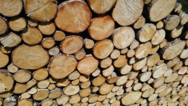 Funiile de lemn Franky (3)