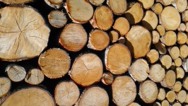 Funiile de lemn Franky (4)