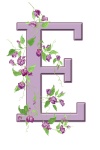 Písmeno E Floral Initial