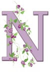 Letter N Floral Initial