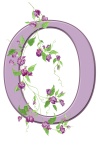 Letter O Floral Initial