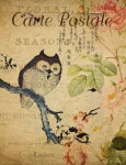 Owl Vintage French Postcard