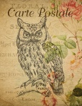 Owl Vintage française de carte postale