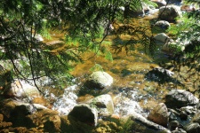 Parco Creek