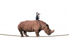 Rhino And Boy Balancing On Rope