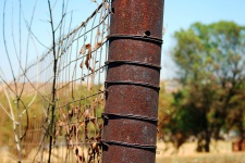 Rusted Fence Post