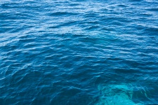 Textura de fondo de mar