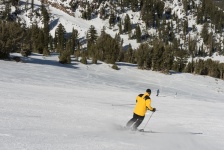 Skier On The Slopes