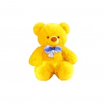 Teddy Bear isolé