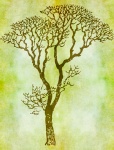 Tree In Winter Illustration