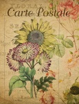 Vintage Postkarten-Sonnenblume