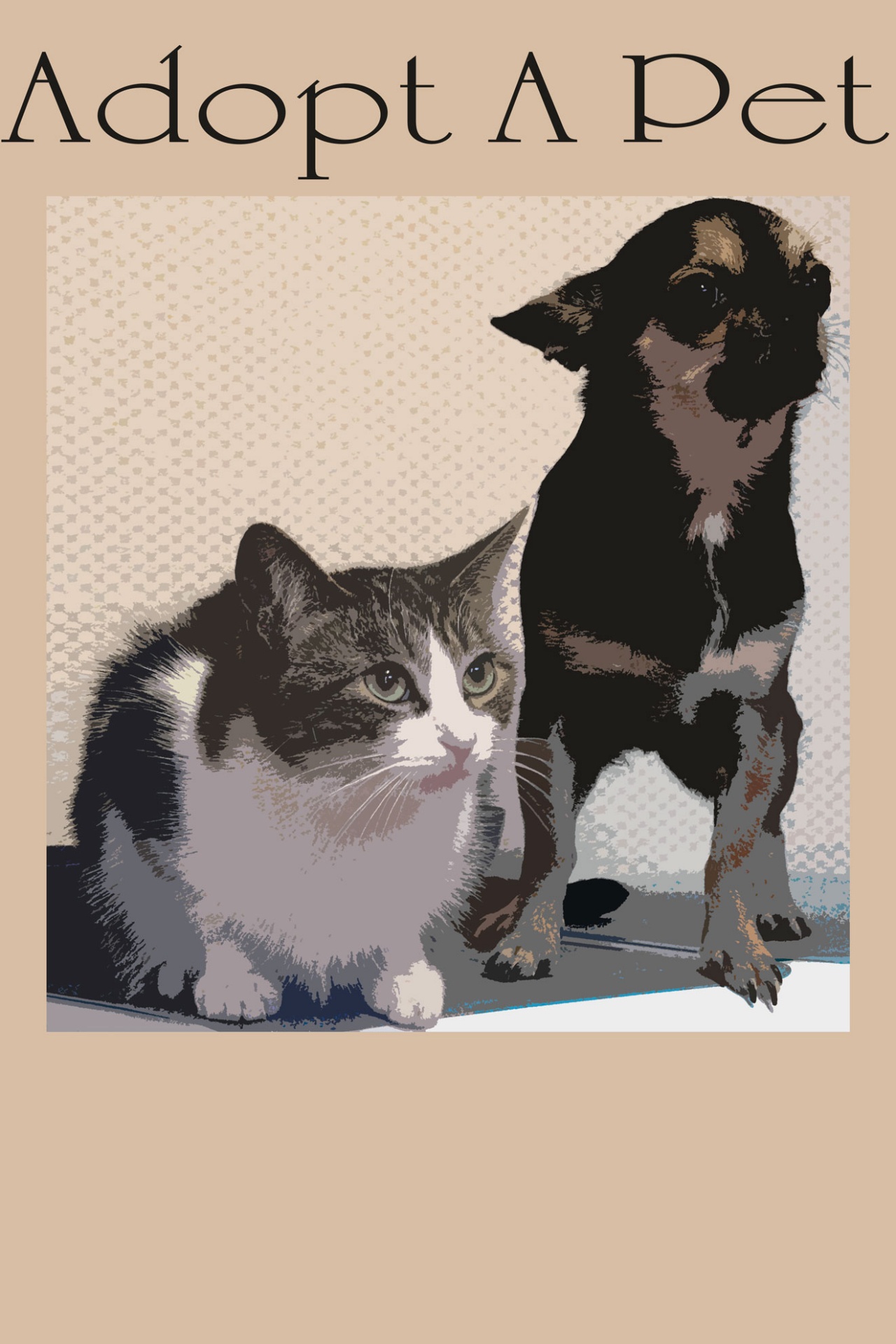 Adopt A Pet Poster Free Stock Photo Public Domain Pictures