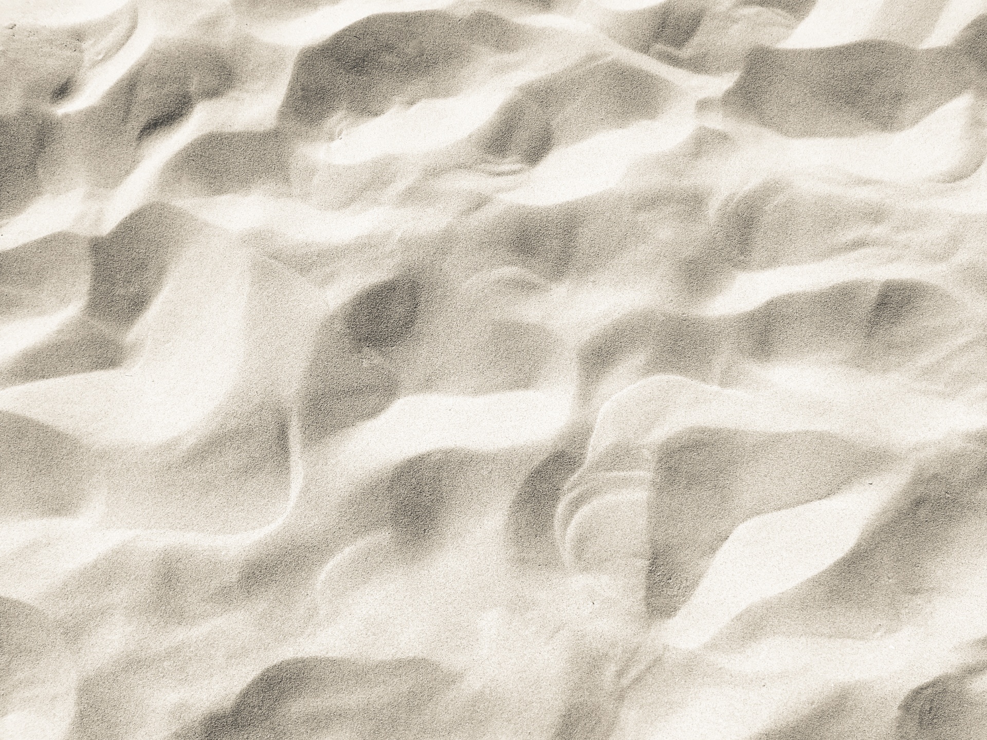 海滩 海沙 海蜇 - Pixabay上的免费照片 - Pixabay